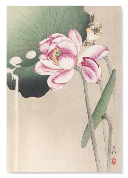 The print