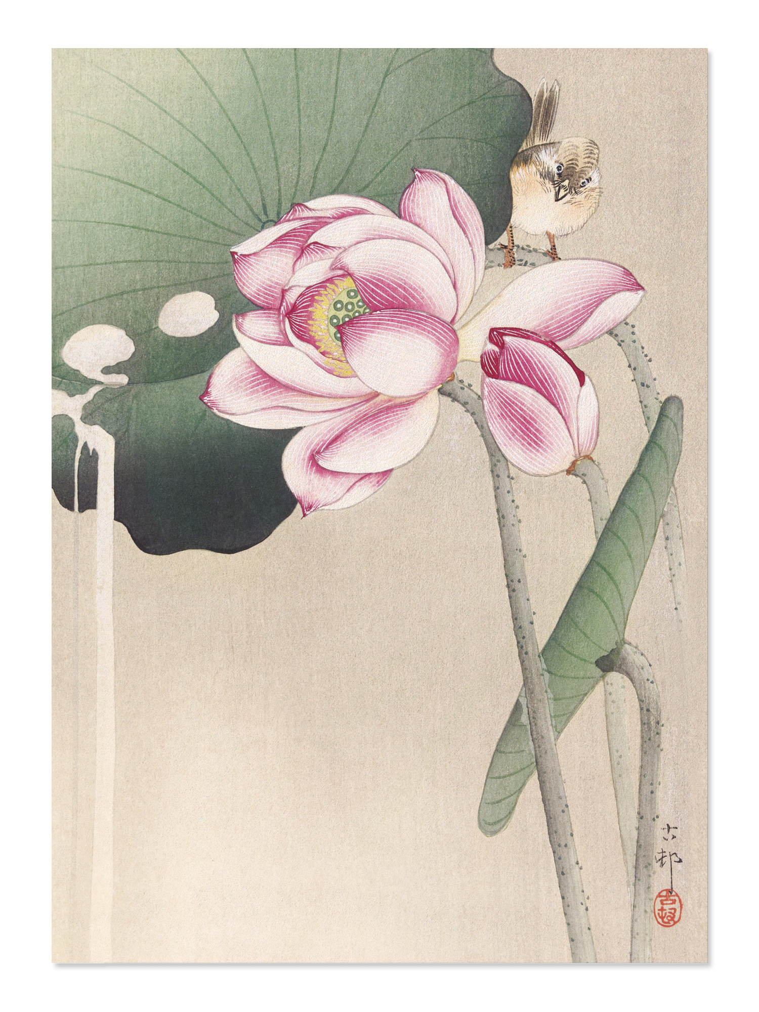 Ezen - Songbird and lotus - Postcard - Front