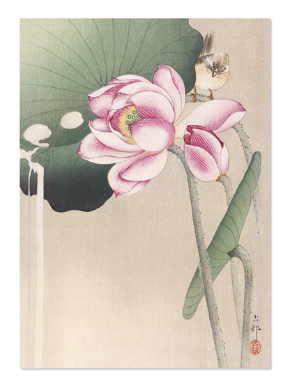 Ezen - Songbird and lotus - Postcard - Front