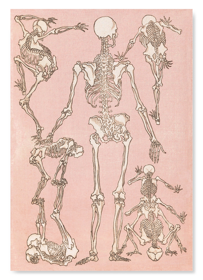 The print