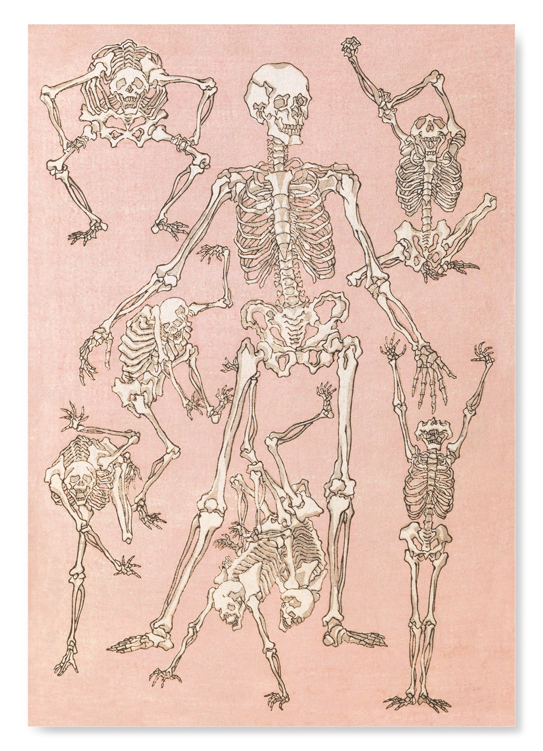The print