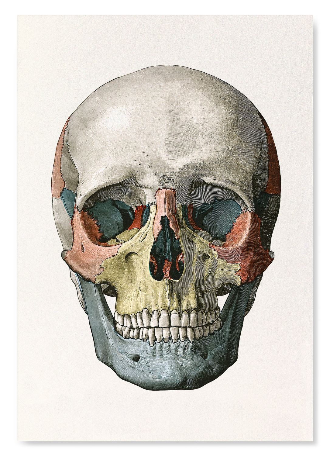 The print