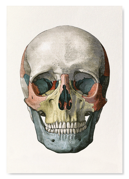 The print