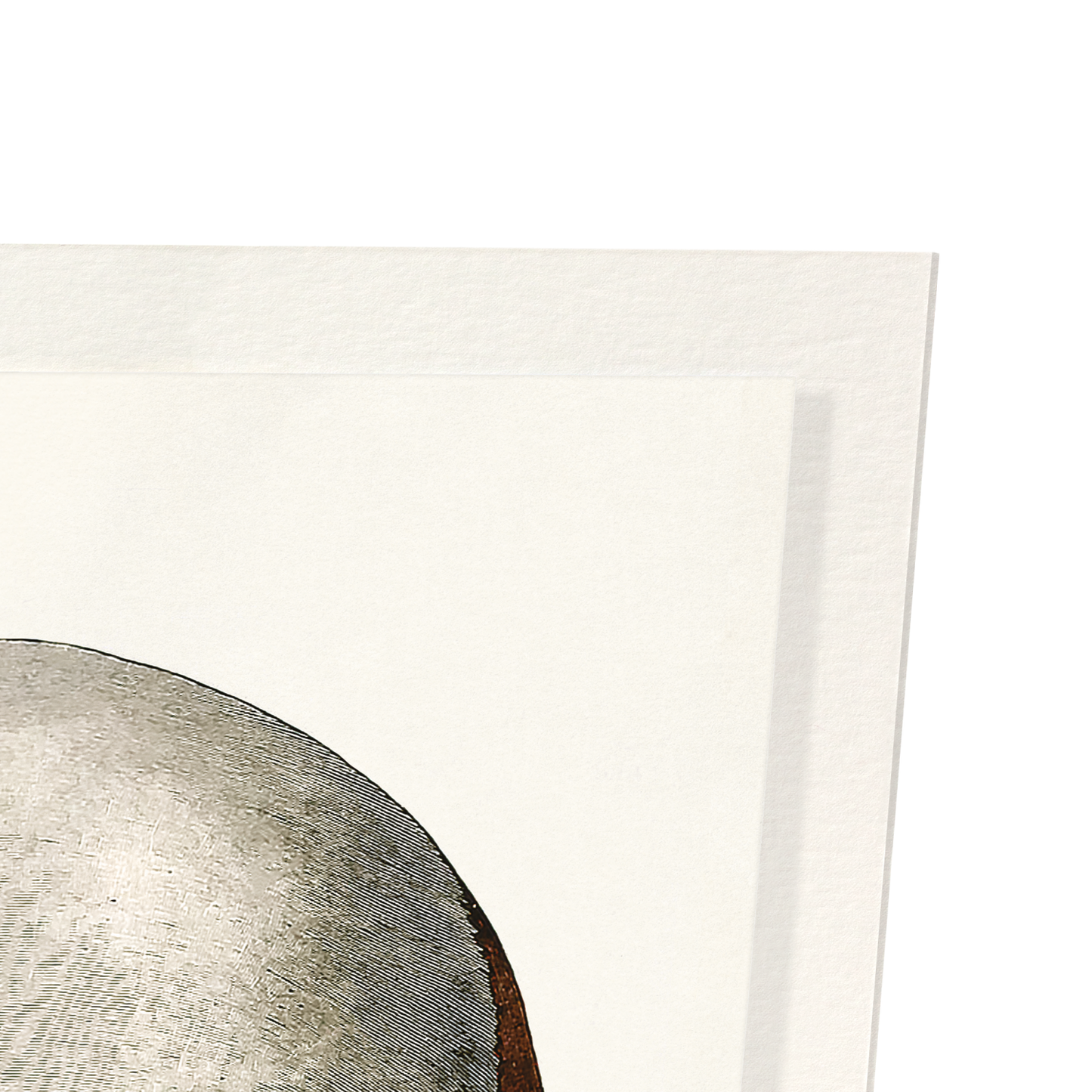 Detail from print