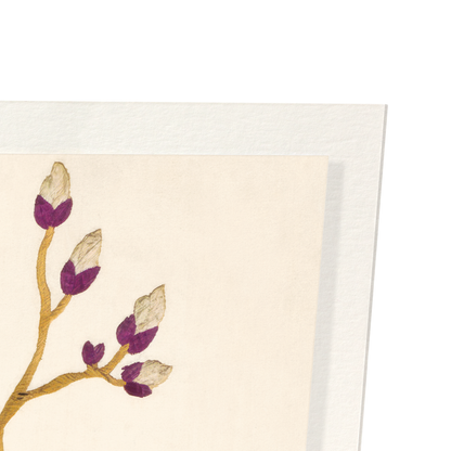 Detail from print