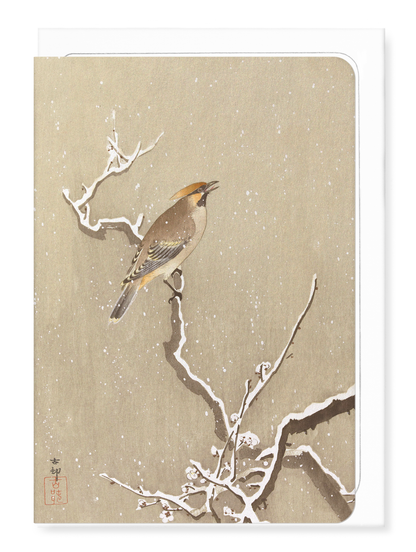 Ezen - Waxwing bird on snowy branch - Greeting Card - Front