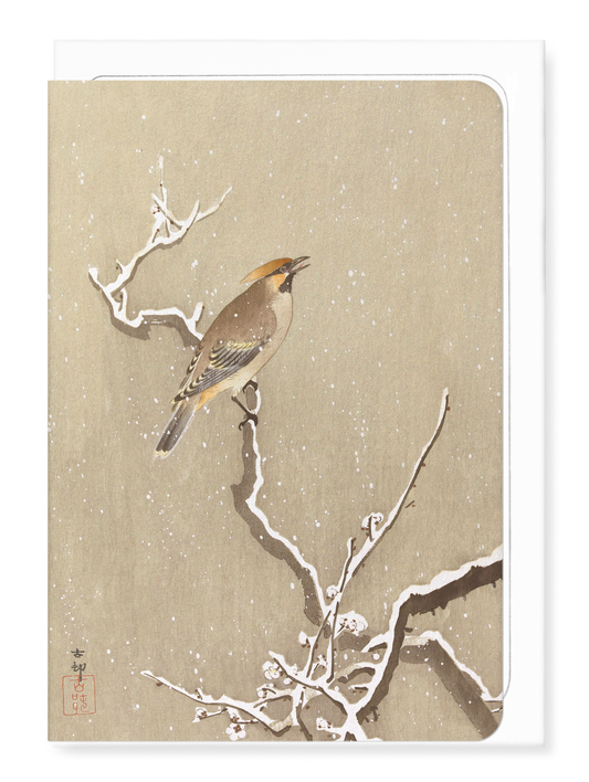 Ezen - Waxwing bird on snowy branch - Greeting Card - Front