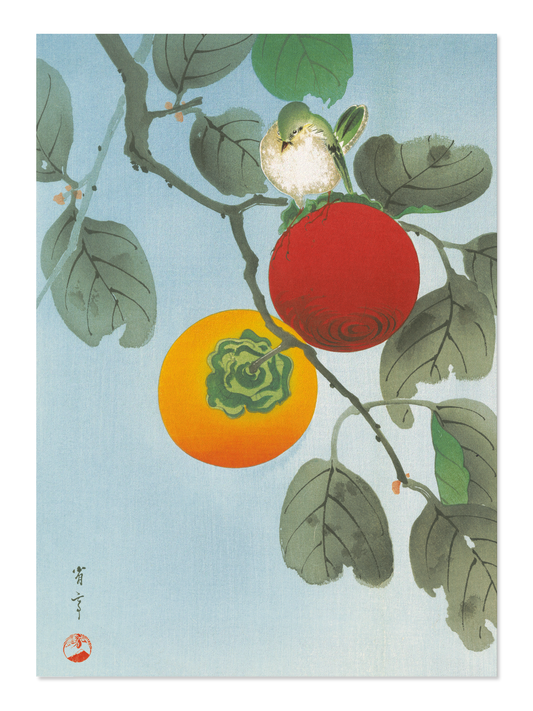 Ezen - White-eye on persimmon tree (c.1930) - Postcard - Front