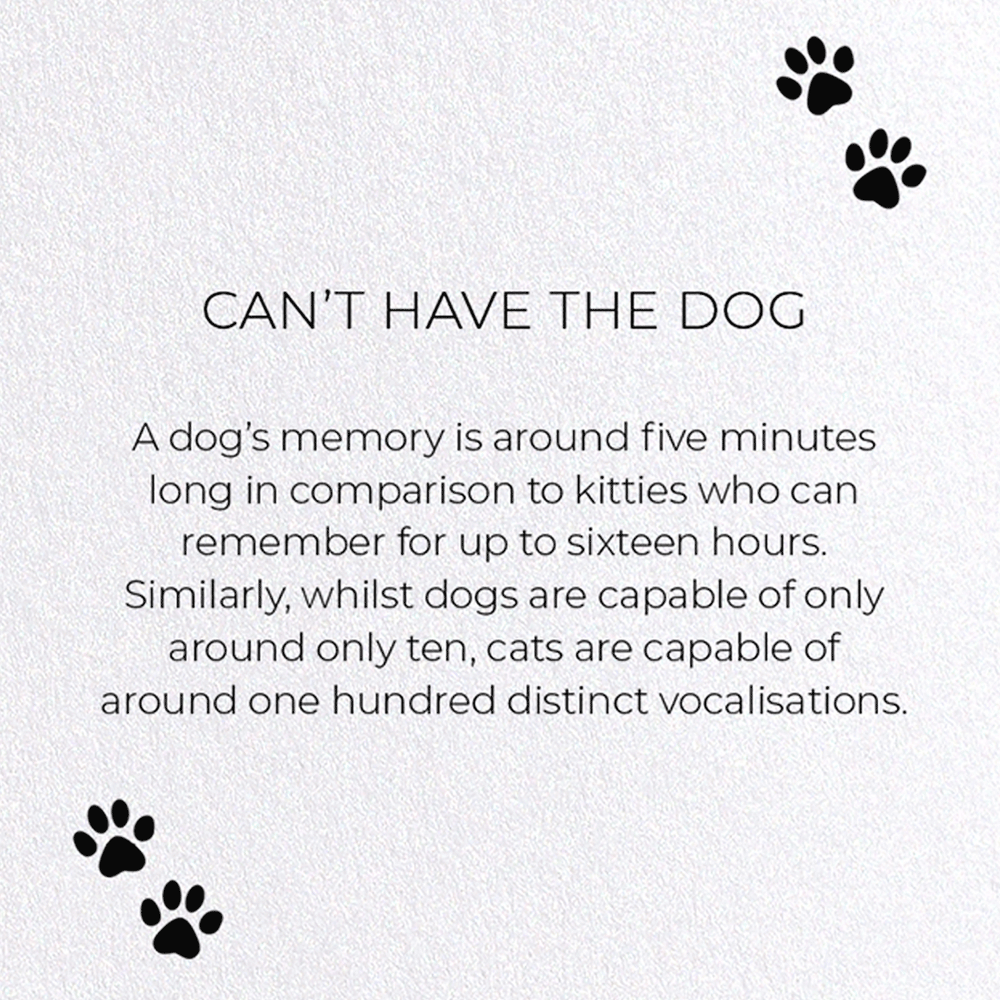 CAN'T HAVE THE DOG: Funny Animal Greeting Card