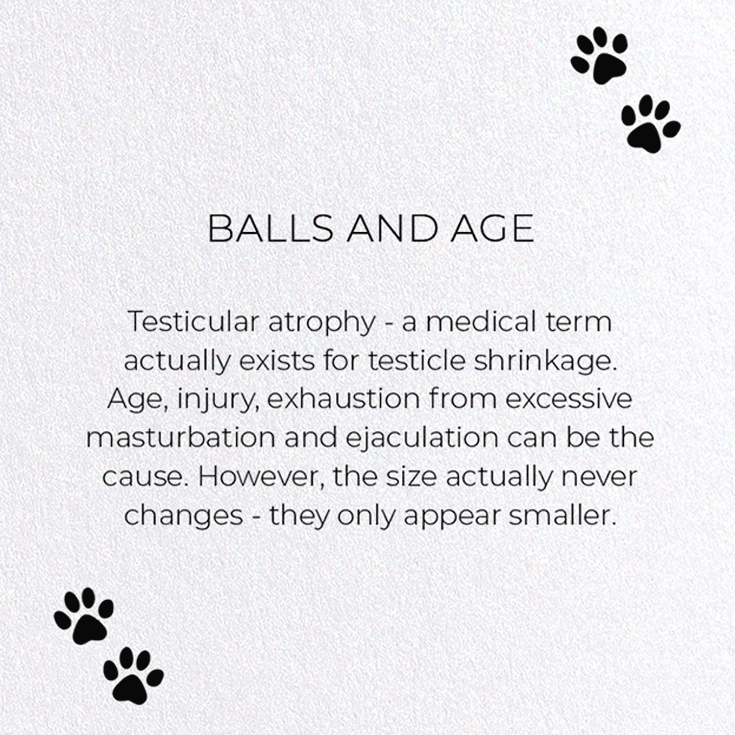 BALLS AND AGE: Funny Animal Greeting Card