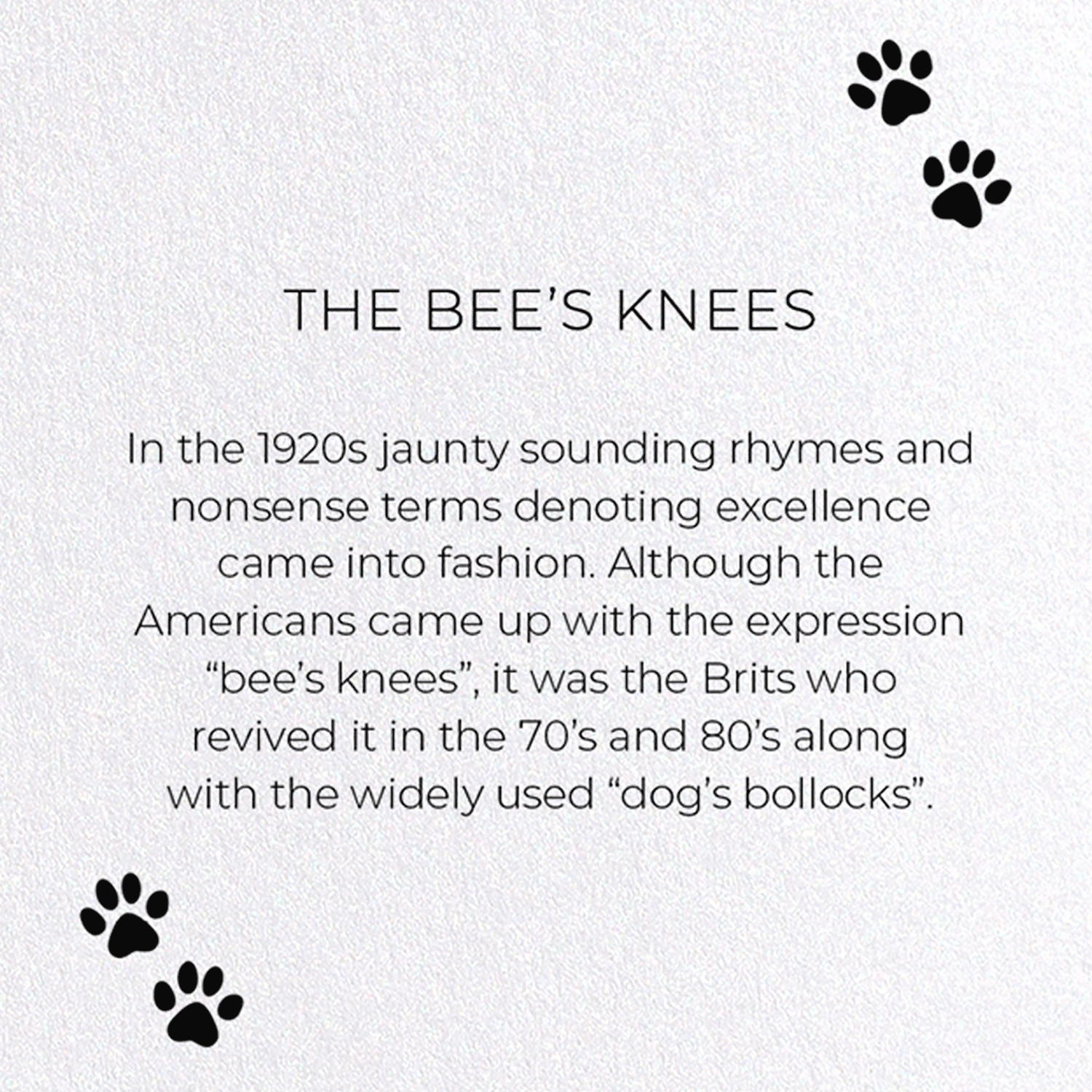 THE BEE'S KNEES: Funny Animal Greeting Card