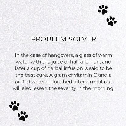 PROBLEM SOLVER: Funny Animal Greeting Card
