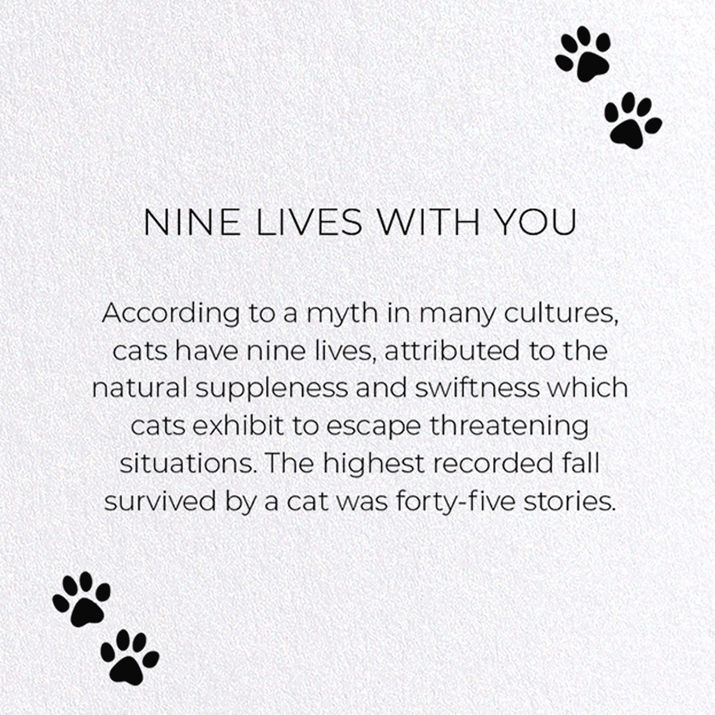 NINE LIVES WITH YOU: Funny Animal Greeting Card