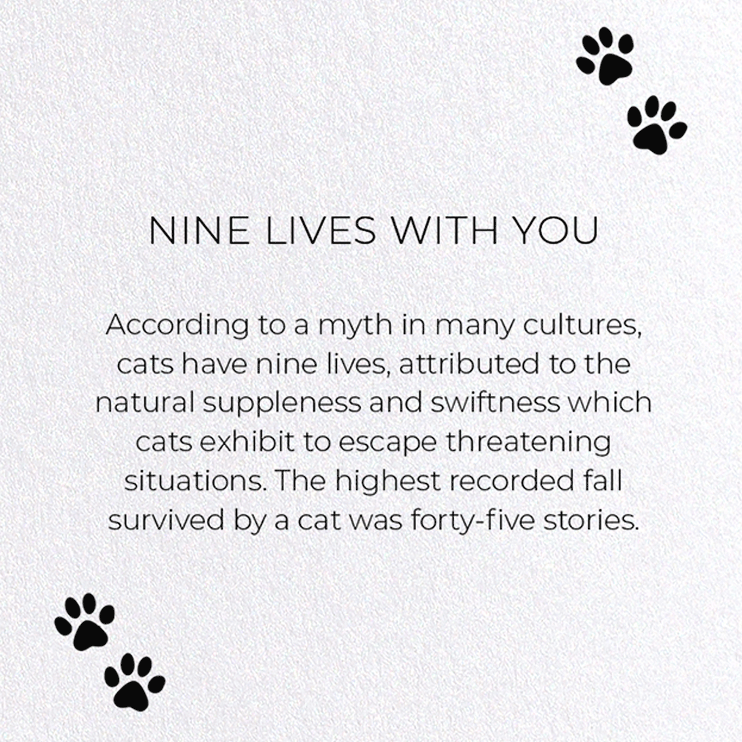 NINE LIVES WITH YOU: Funny Animal Greeting Card