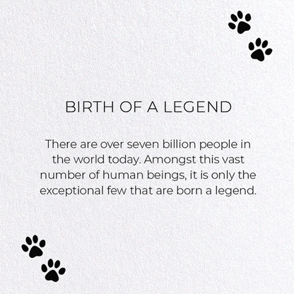 BIRTH OF A LEGEND: Funny Animal Greeting Card