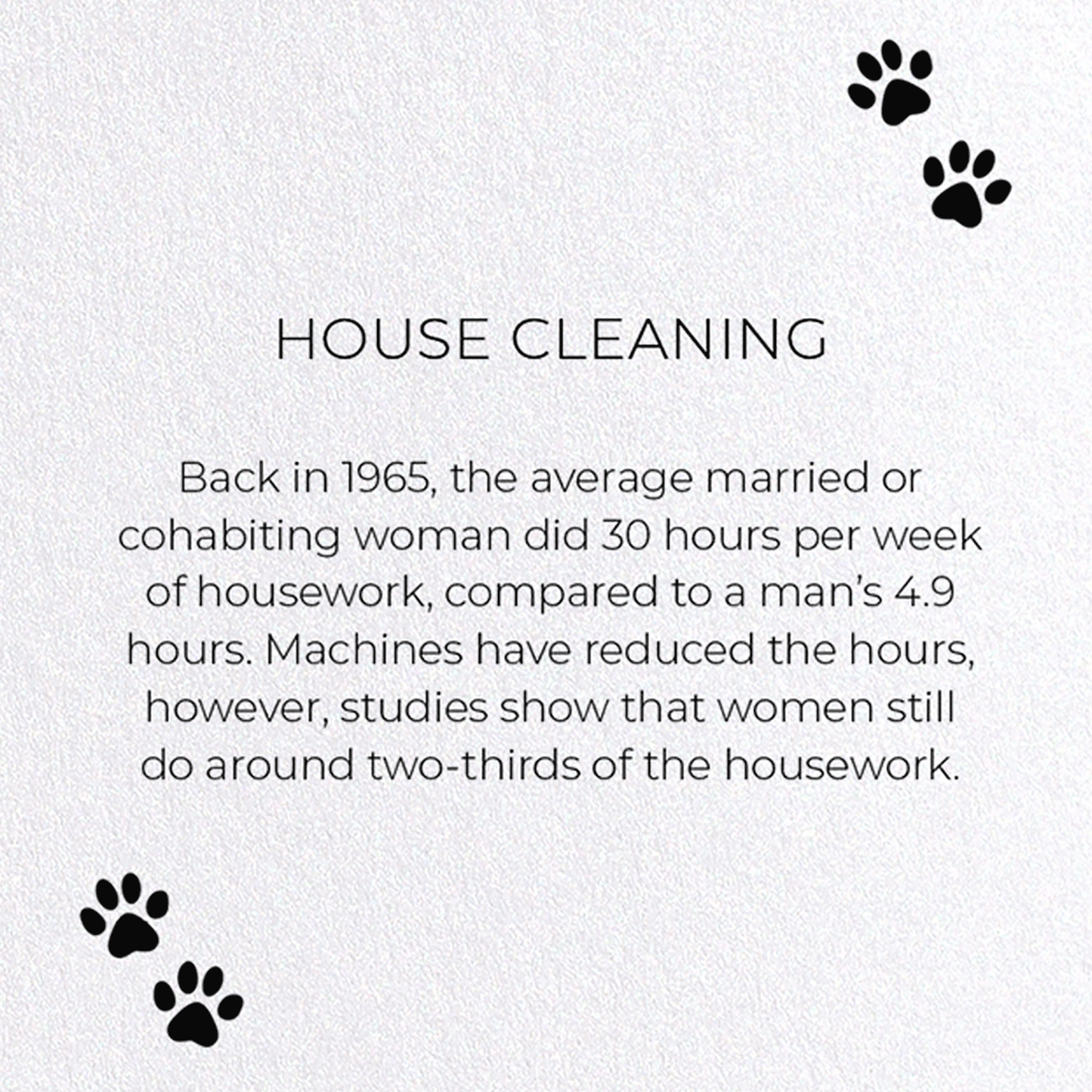 HOUSE CLEANING: Funny Animal Greeting Card