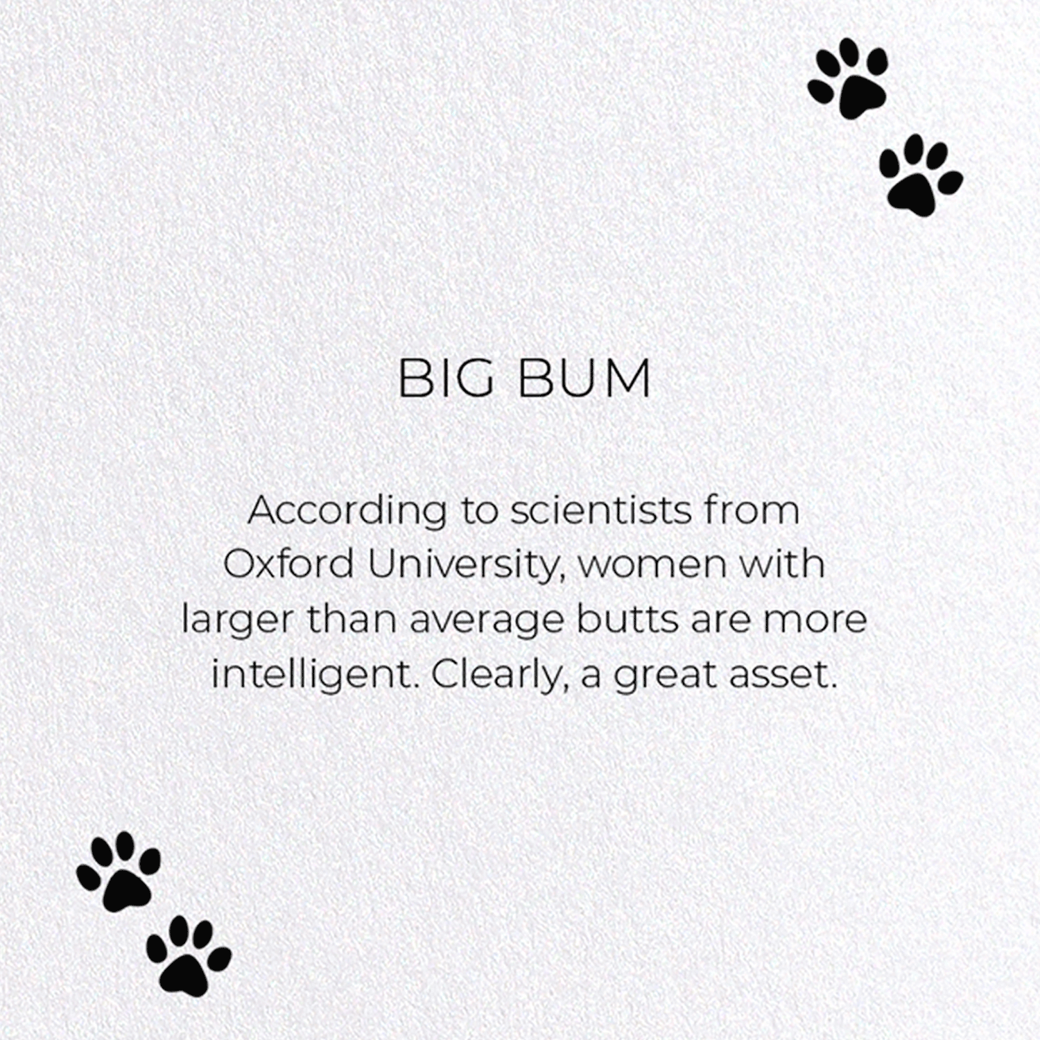 BIG BUM: Funny Animal Greeting Card