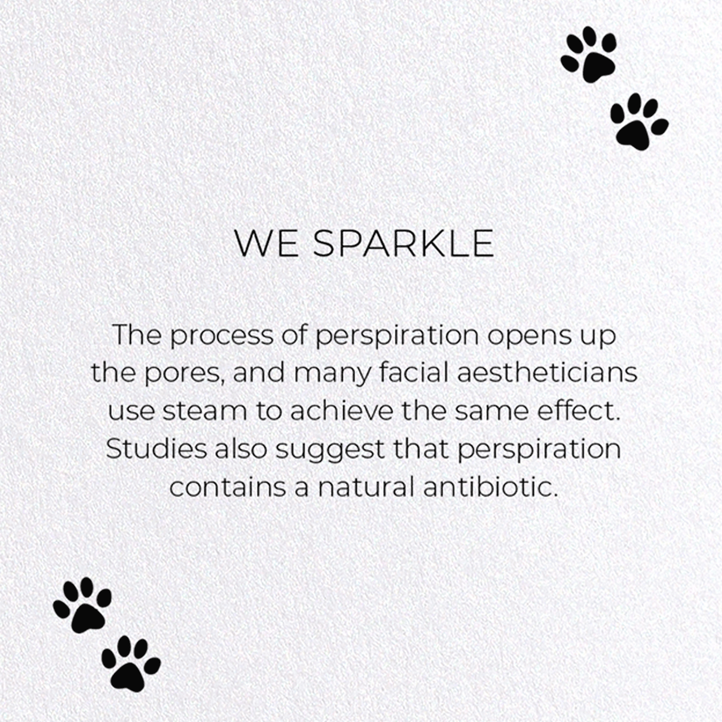WE SPARKLE: Funny Animal Greeting Card