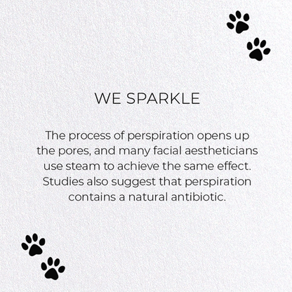 WE SPARKLE: Funny Animal Greeting Card