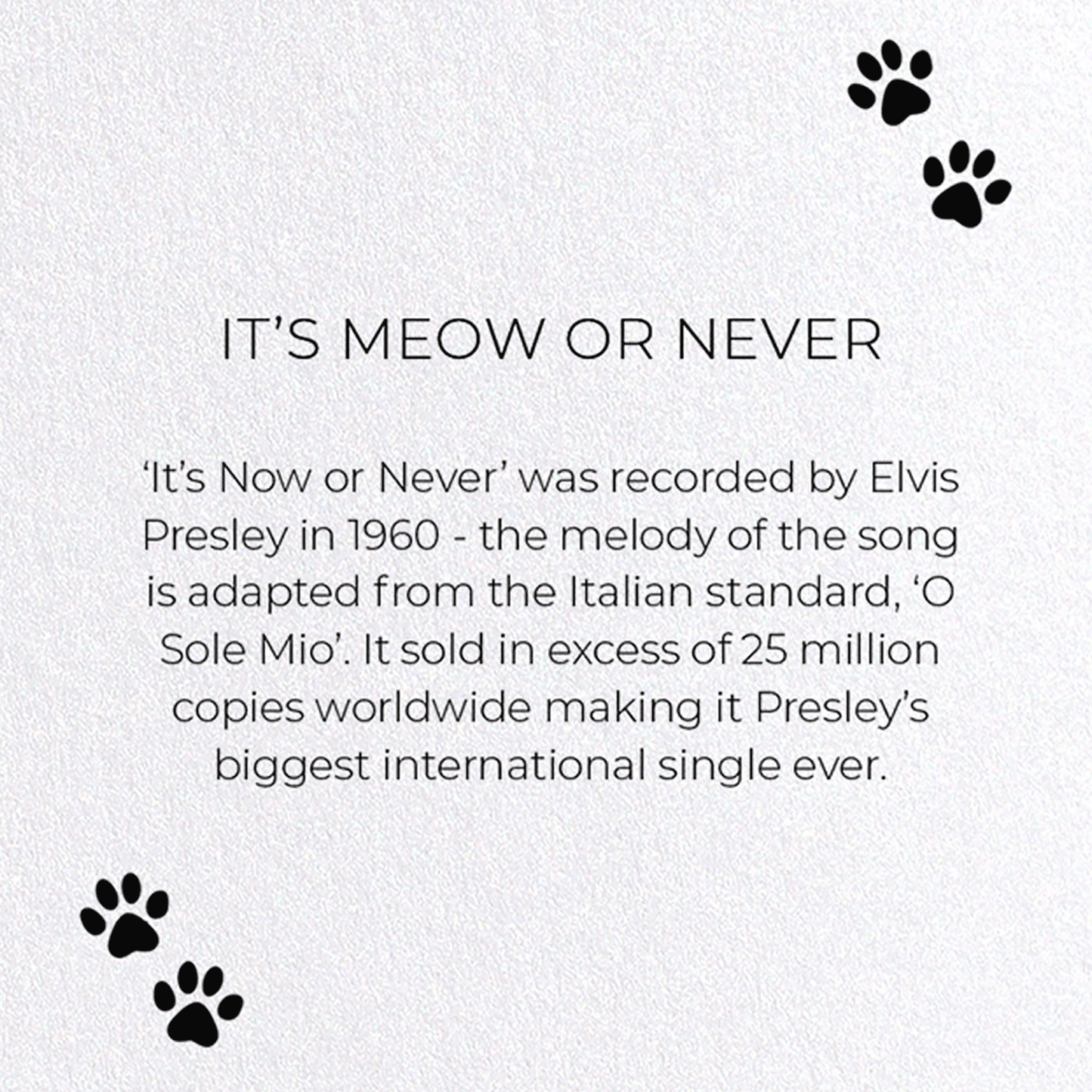 IT'S MEOW OR NEVER: Funny Animal Greeting Card