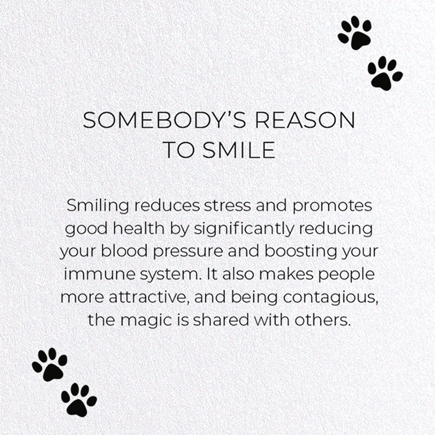 SOMEBODY'S REASON TO SMILE: Funny Animal Greeting Card