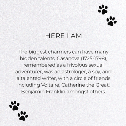 HERE I AM: Funny Animal Greeting Card