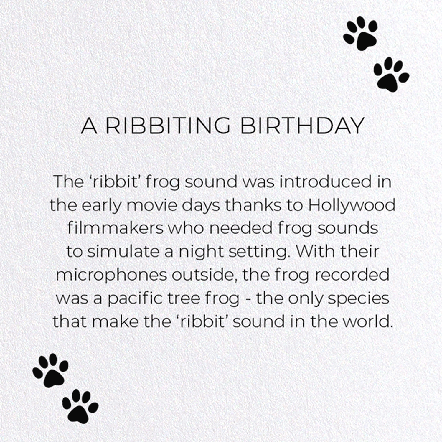 A RIBBITING BIRTHDAY: Funny Animal Greeting Card