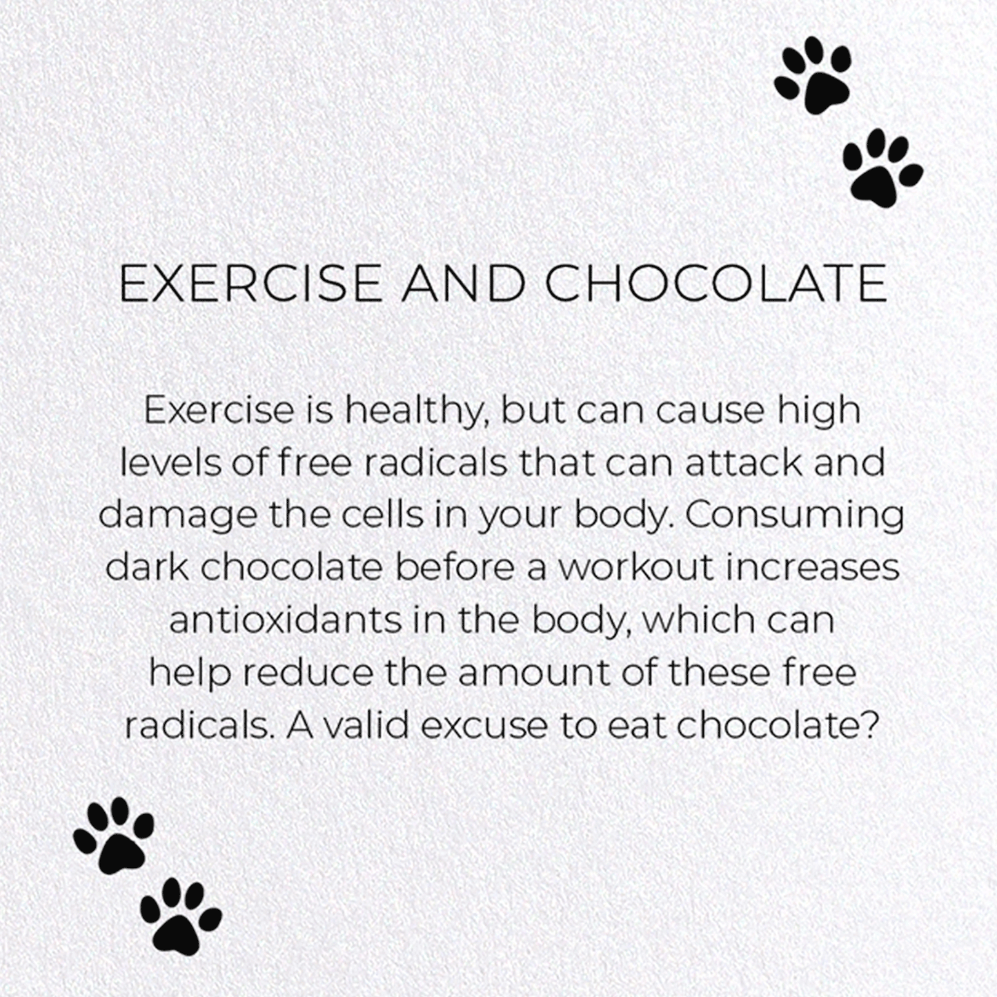 EXERCISE AND CHOCOLATE: Funny Animal Greeting Card