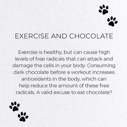 EXERCISE AND CHOCOLATE: Funny Animal Greeting Card