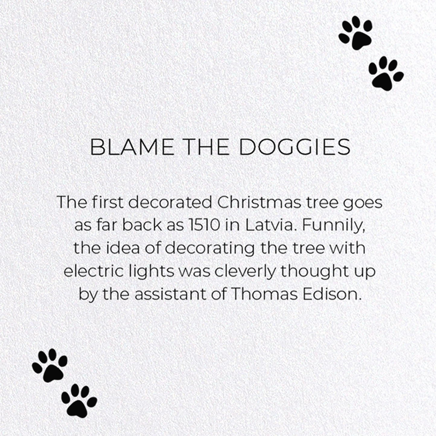 BLAME THE DOGGIES: Funny Animal Greeting Card