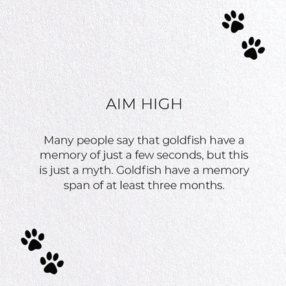 AIM HIGH: Funny Animal Greeting Card
