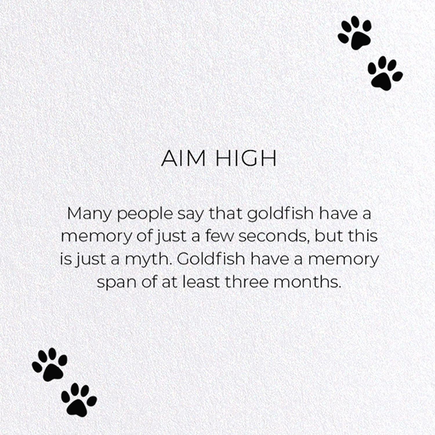 AIM HIGH: Funny Animal Greeting Card