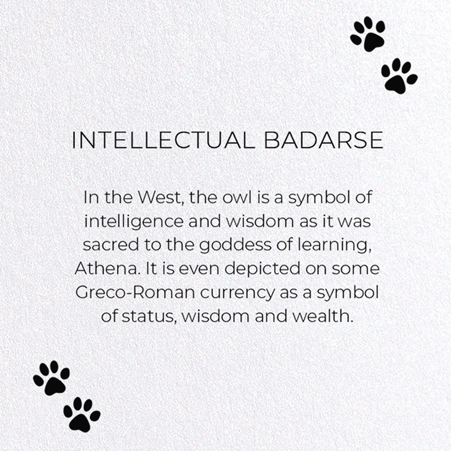INTELLECTUAL BADARSE: Funny Animal Greeting Card