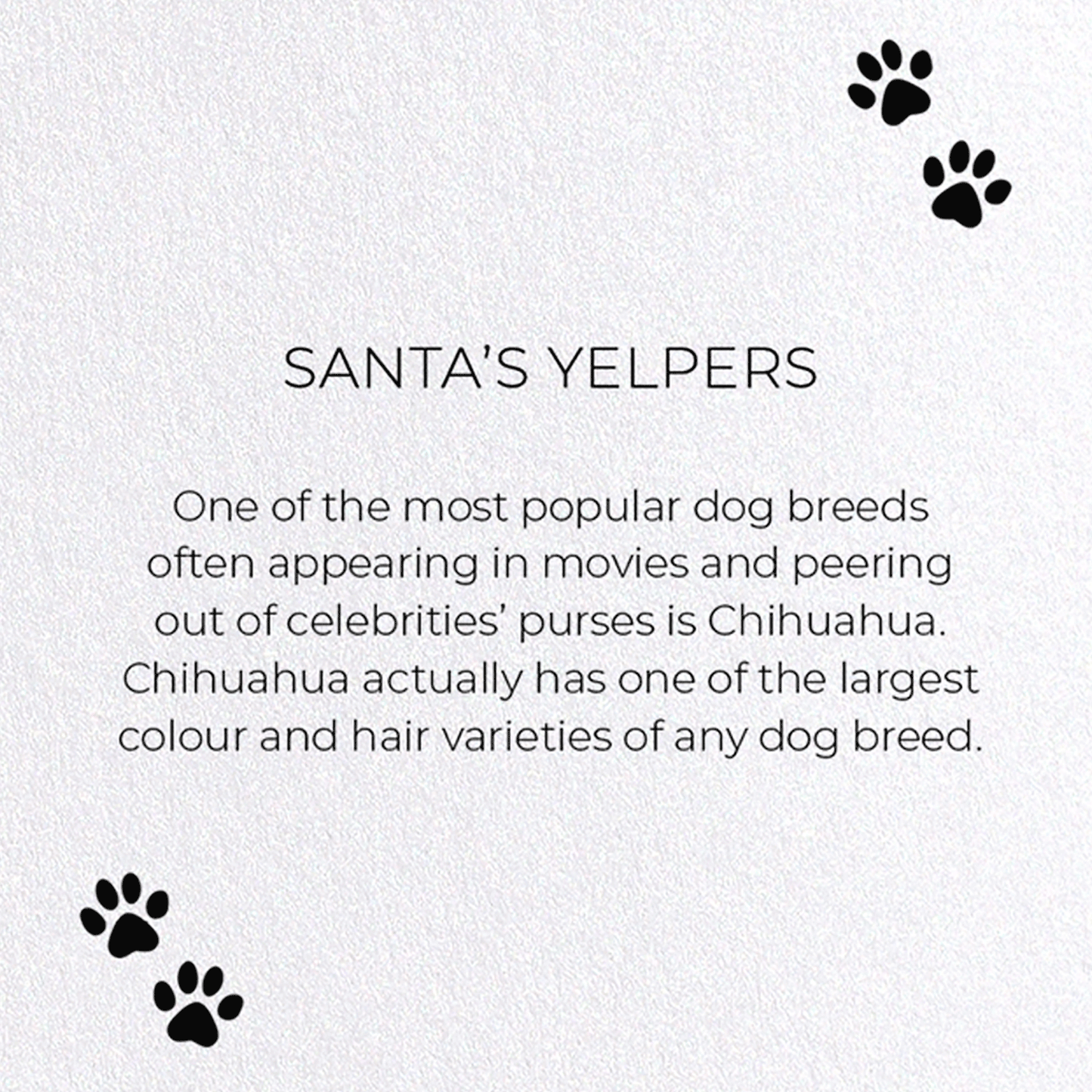 SANTA'S YELPERS: Funny Animal Greeting Card