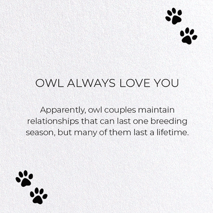 OWL ALWAYS LOVE YOU: Funny Animal Greeting Card