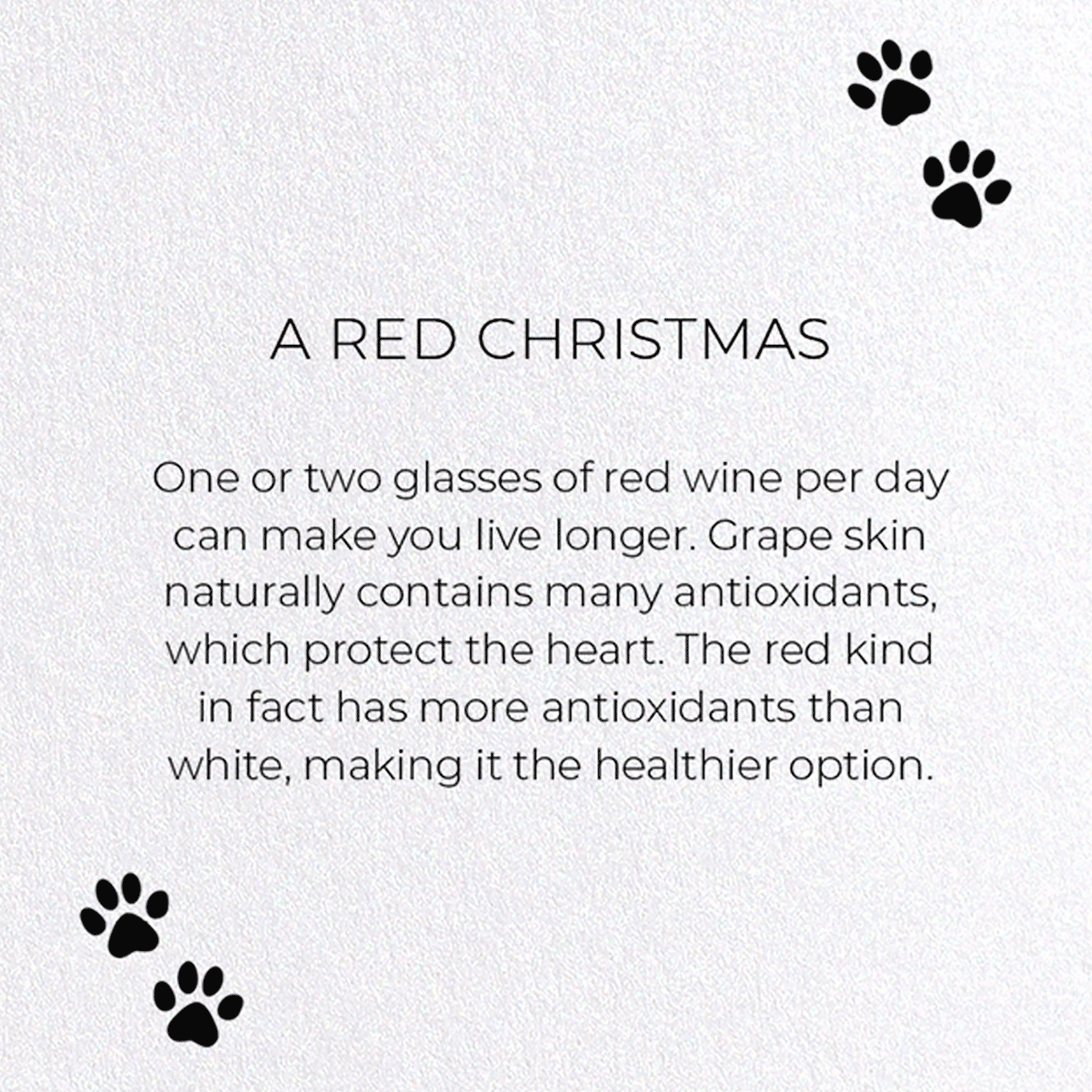 A RED CHRISTMAS : Funny Animal Greeting Card