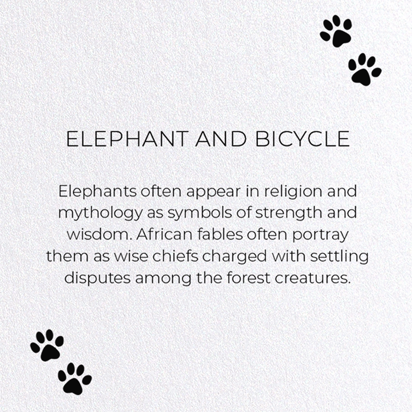 ELEPHANT AND BICYCLE: Funny Animal Greeting Card