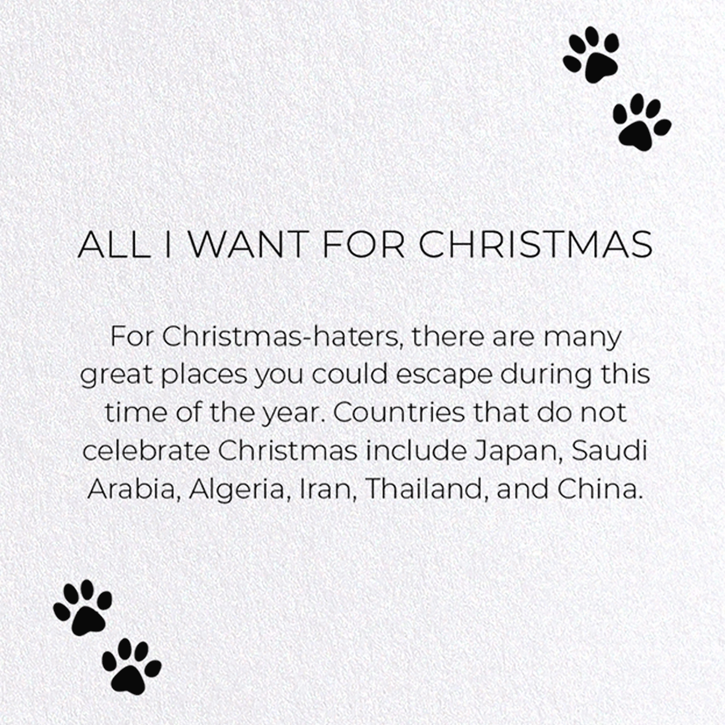 ALL I WANT FOR CHRISTMAS : Funny Animal Greeting Card