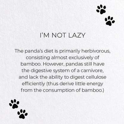 I'M NOT LAZY : Funny Animal Greeting Card