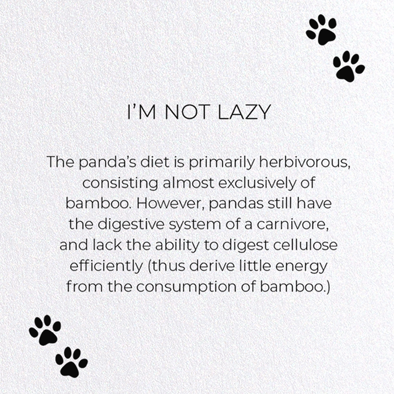 I'M NOT LAZY : Funny Animal Greeting Card