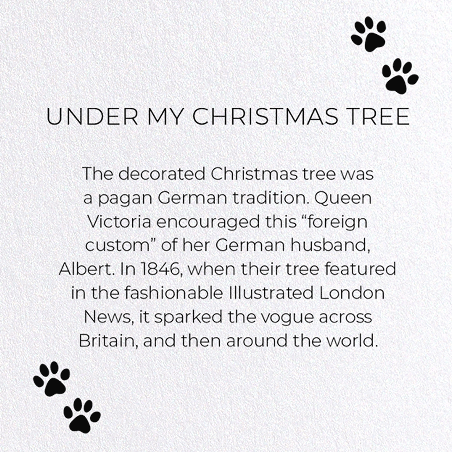 UNDER MY CHRISTMAS TREE: Funny Animal Greeting Card