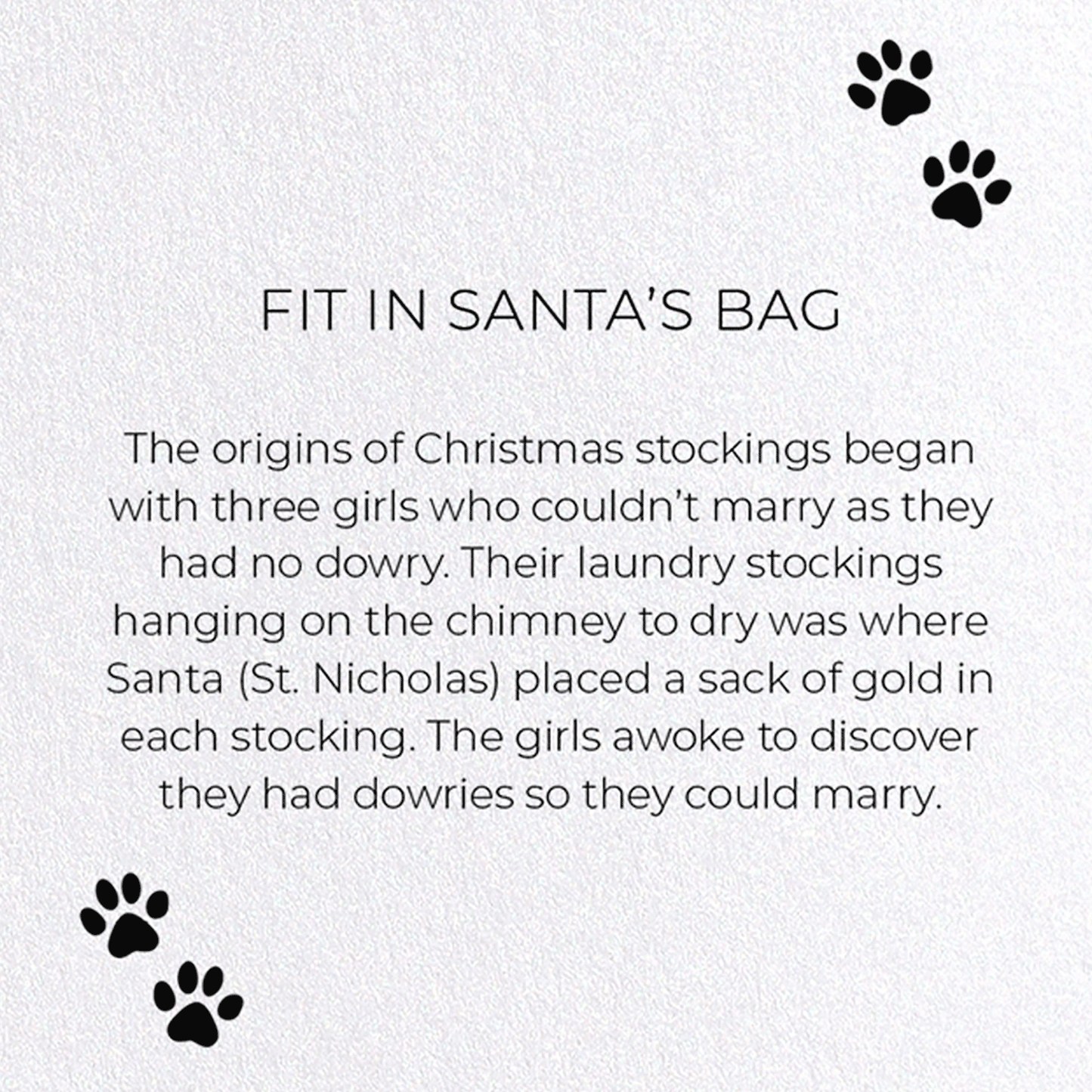 FIT IN SANTA'S BAG: Funny Animal Greeting Card