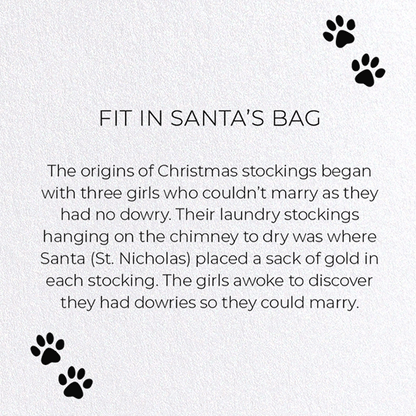 FIT IN SANTA'S BAG: Funny Animal Greeting Card