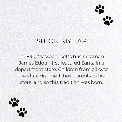 SIT ON MY LAP: Funny Animal Greeting Card