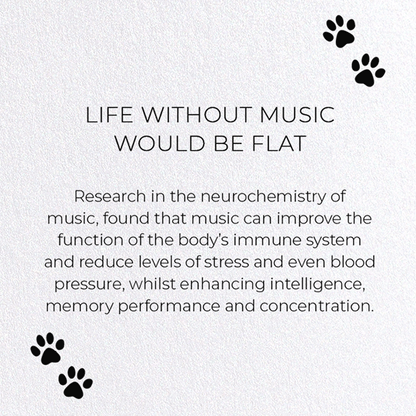 LIFE WITHOUT MUSIC WOULD BE FLAT: Funny Animal Greeting Card