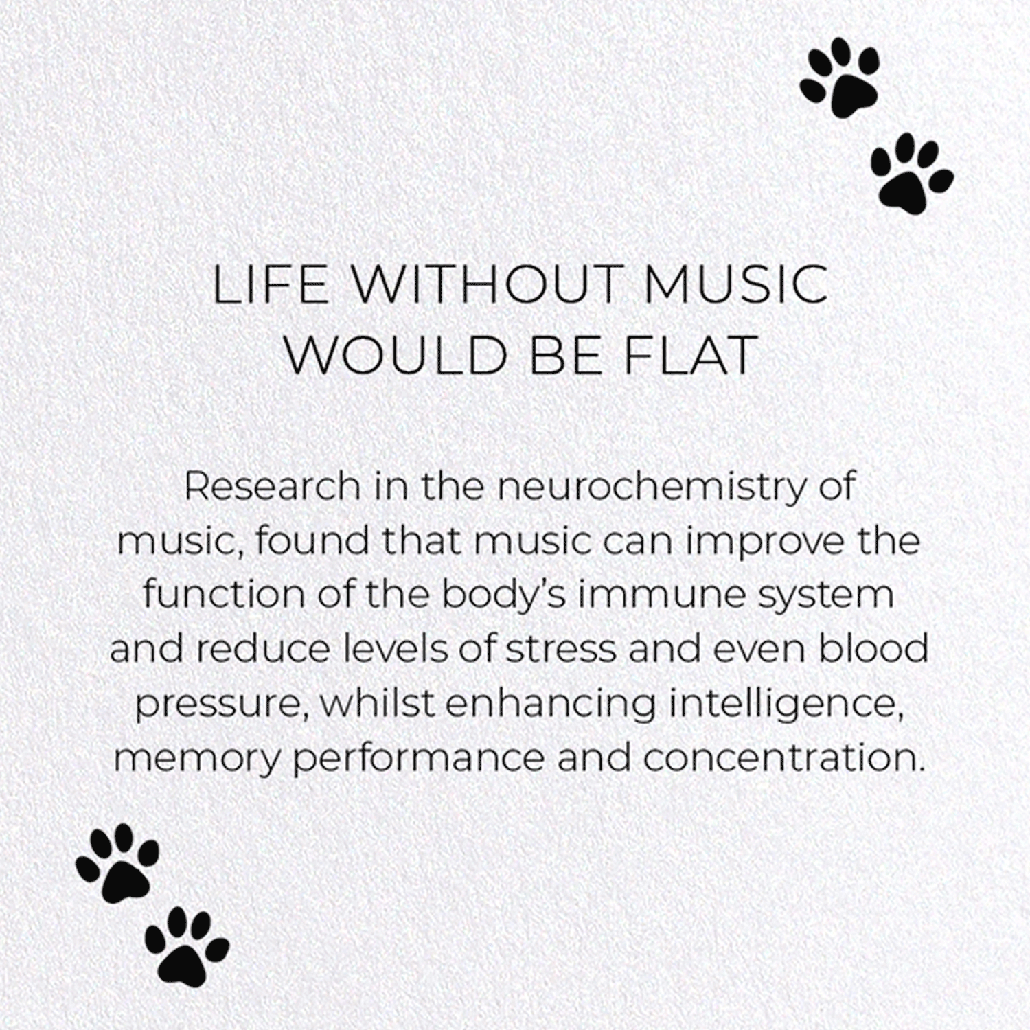 LIFE WITHOUT MUSIC WOULD BE FLAT: Funny Animal Greeting Card