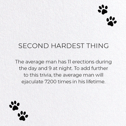 SECOND HARDEST THING: Funny Animal Greeting Card