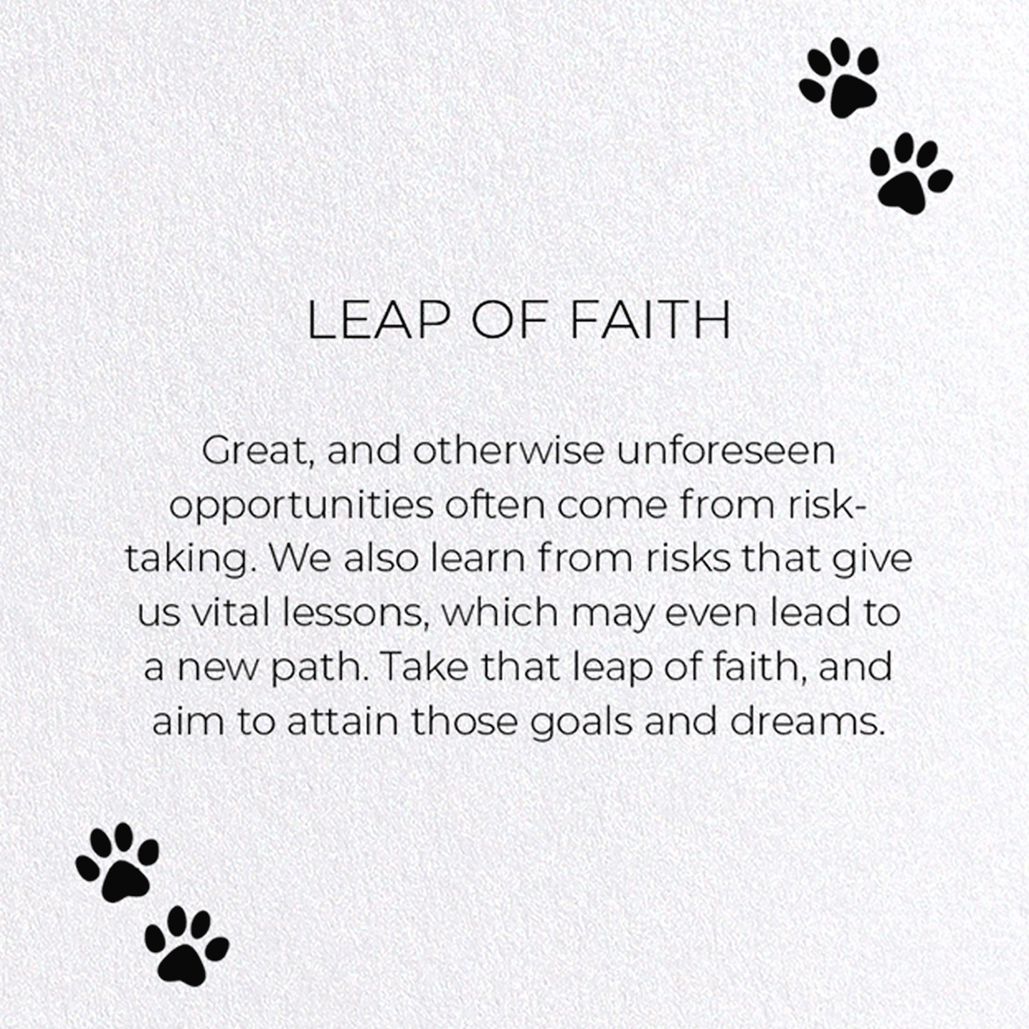 LEAP OF FAITH : Funny Animal Greeting Card