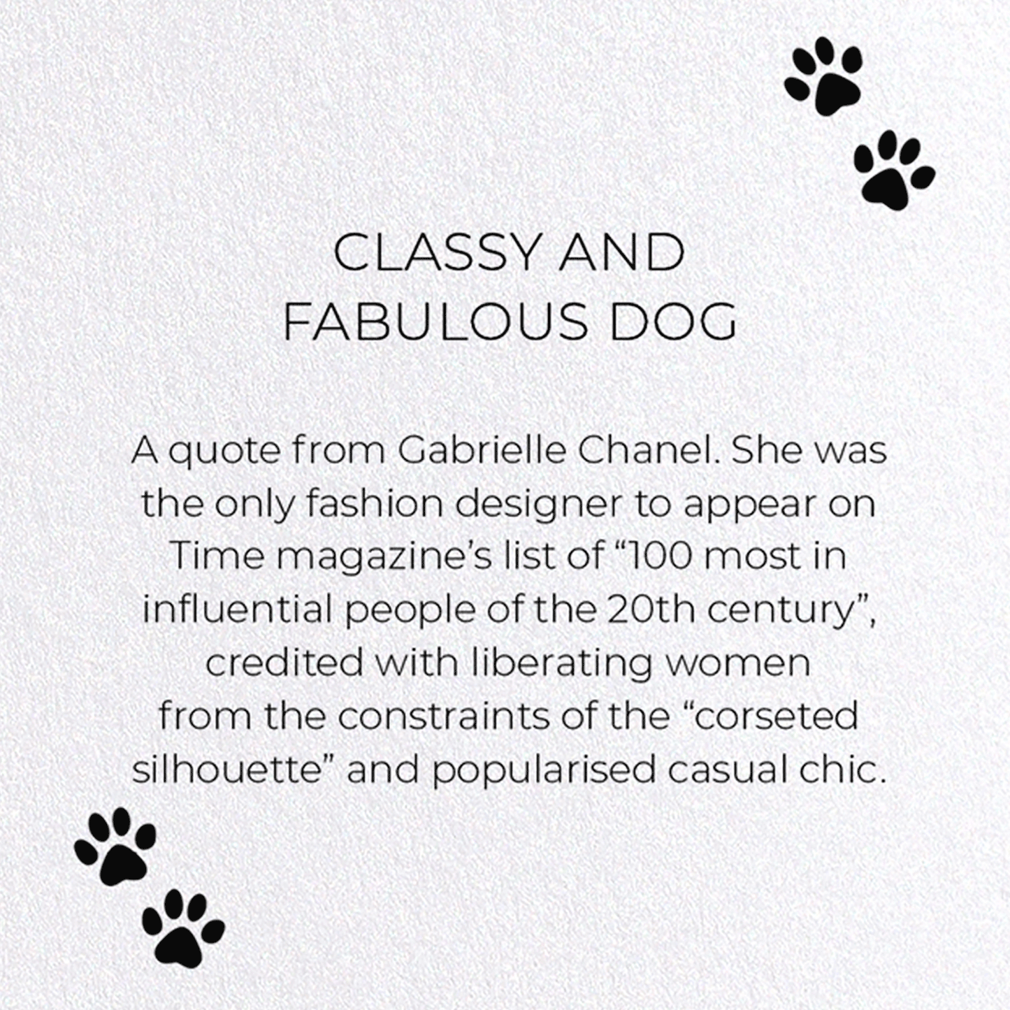 CLASSY AND FABULOUS DOG: Funny Animal Greeting Card
