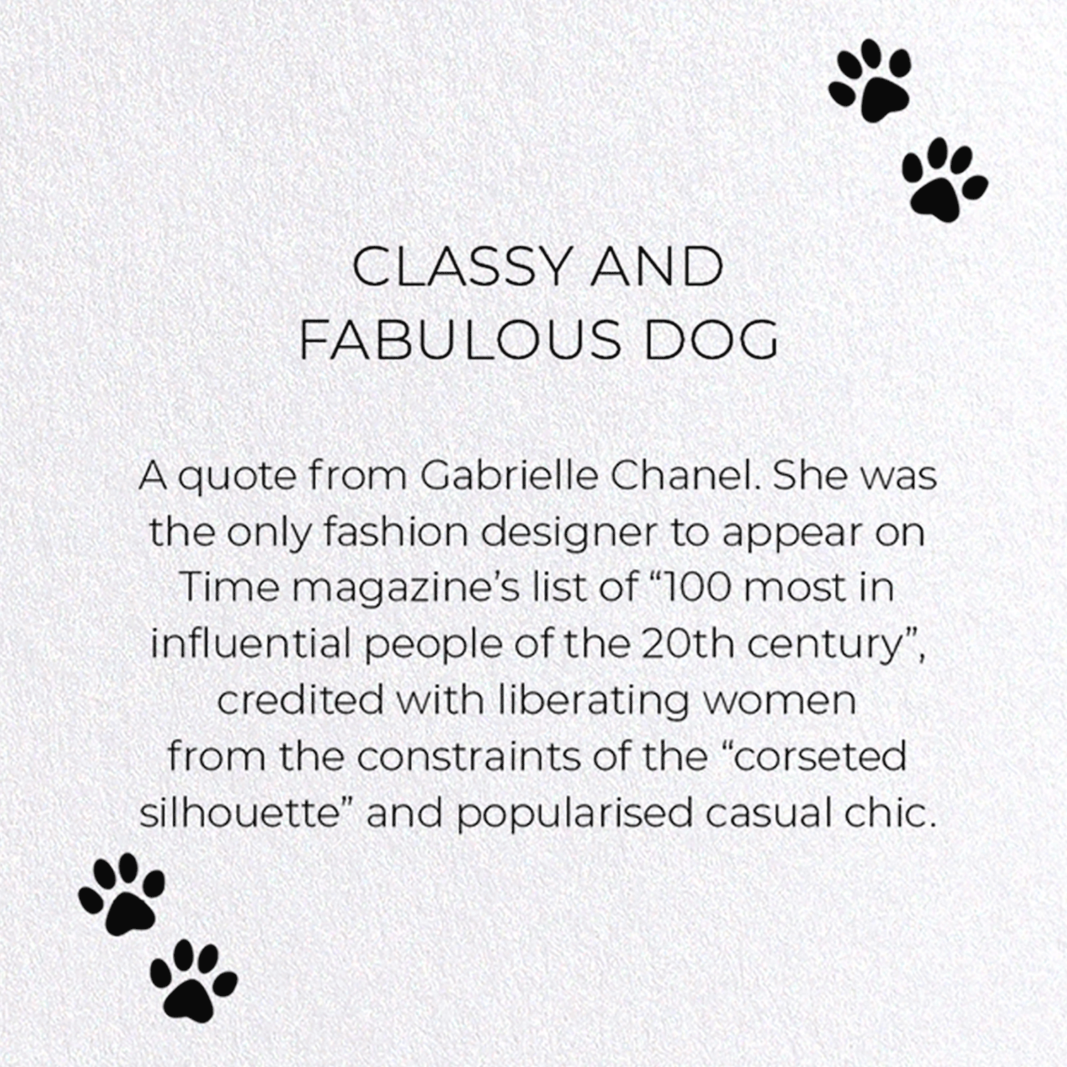 CLASSY AND FABULOUS DOG: Funny Animal Greeting Card
